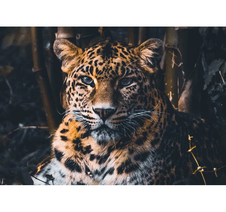 Animal wall mural majestic leopard portrait - TenStickers
