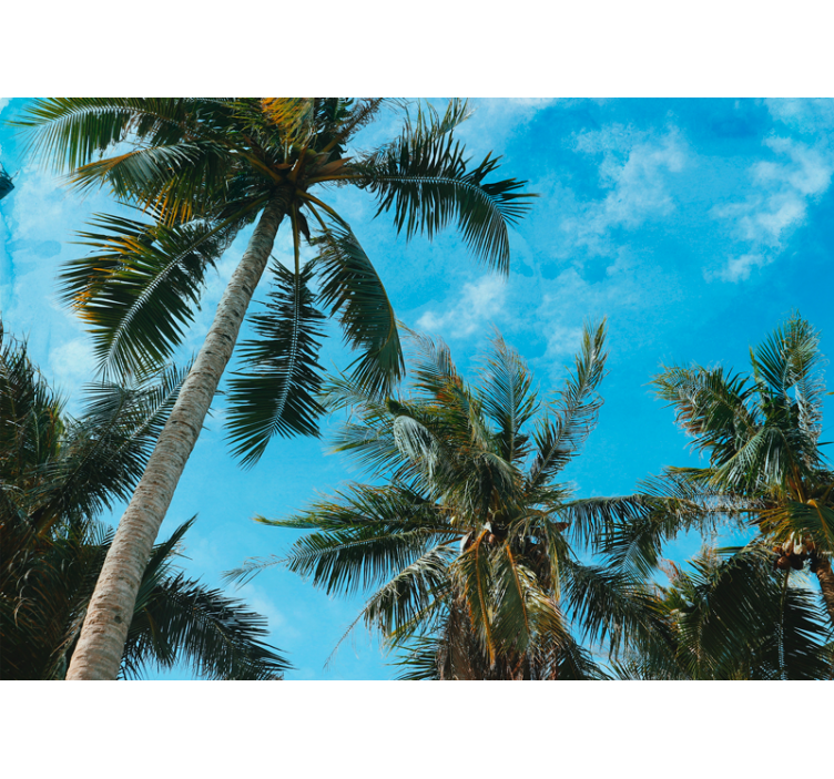 Nature wall mural palm trees in the sky - TenStickers
