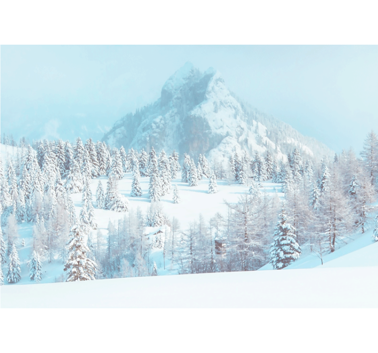Winter aesthetic Mountain wall mural - TenStickers