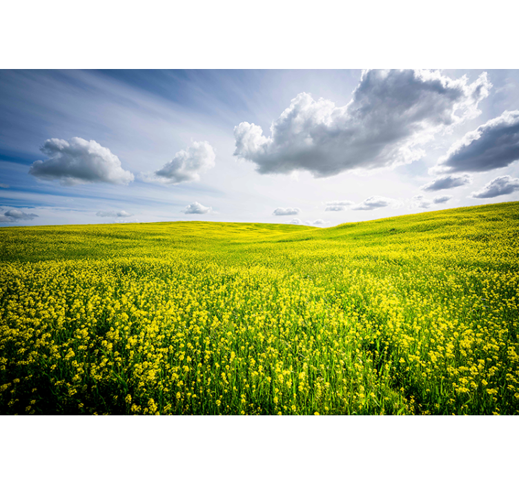 Nature wall mural expansive green meadow - TenStickers