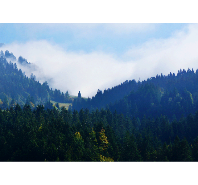 Nature wall mural mountains and fog - TenStickers