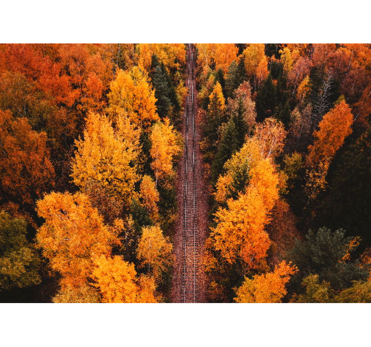 Landscape mural wallpaper autumn woodland path - TenStickers