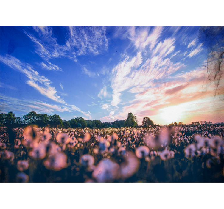 Flower mural dandelion field serenity - TenStickers