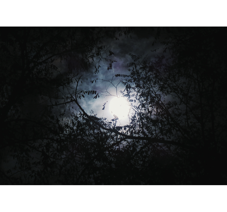 Nature wall mural moonlit branches - TenStickers