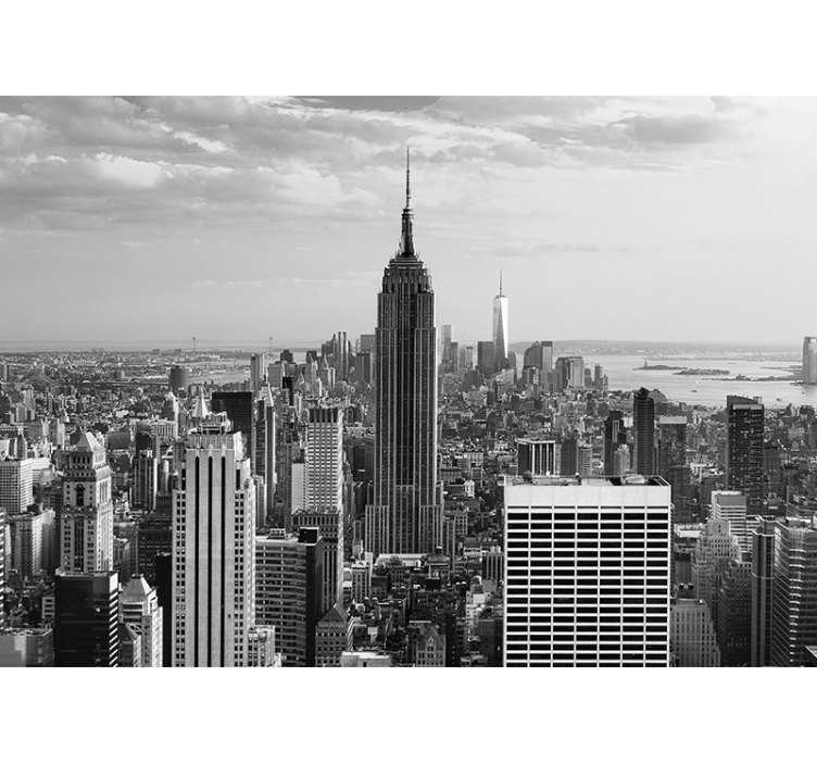 Panoramic black and white New york wall mural - TenStickers