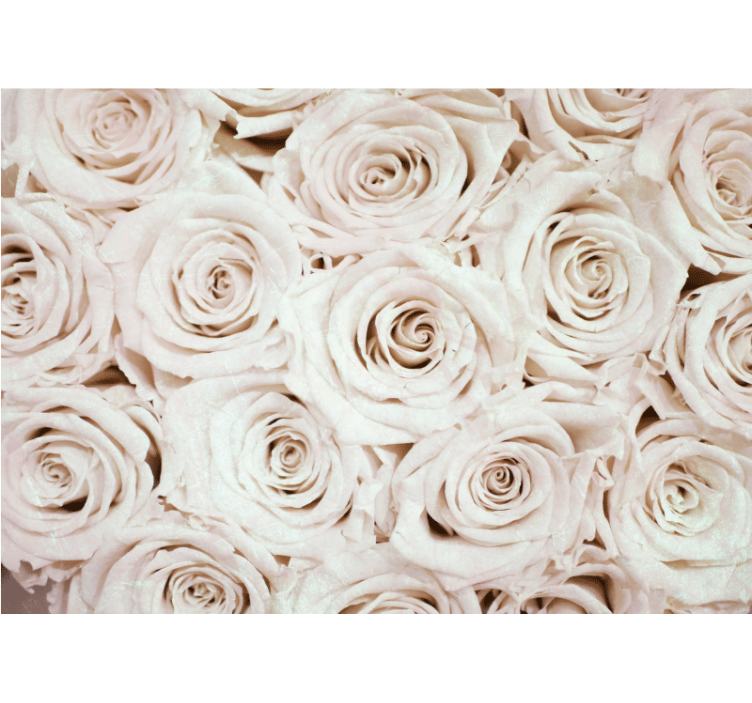 Elegant flower design rose wall mural - TenStickers