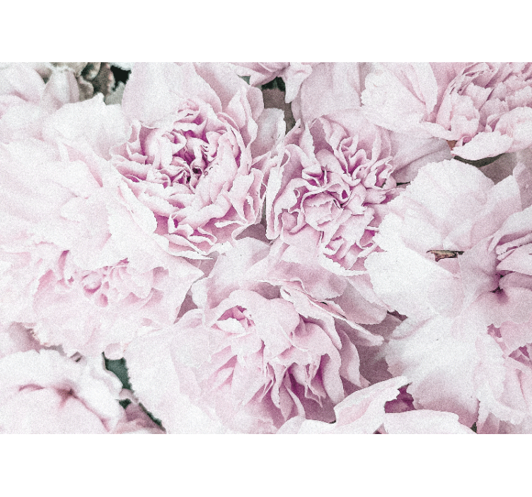 Flower mural soft pink blossoms - TenStickers