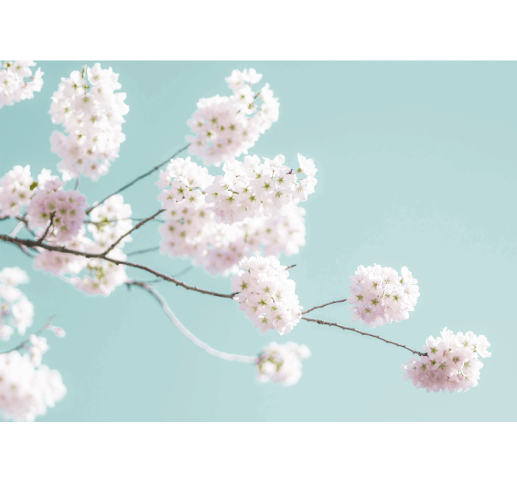 Flower mural sakura blossom branch art - TenStickers