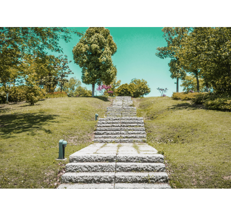 Nature wall mural staircase into nature - TenStickers