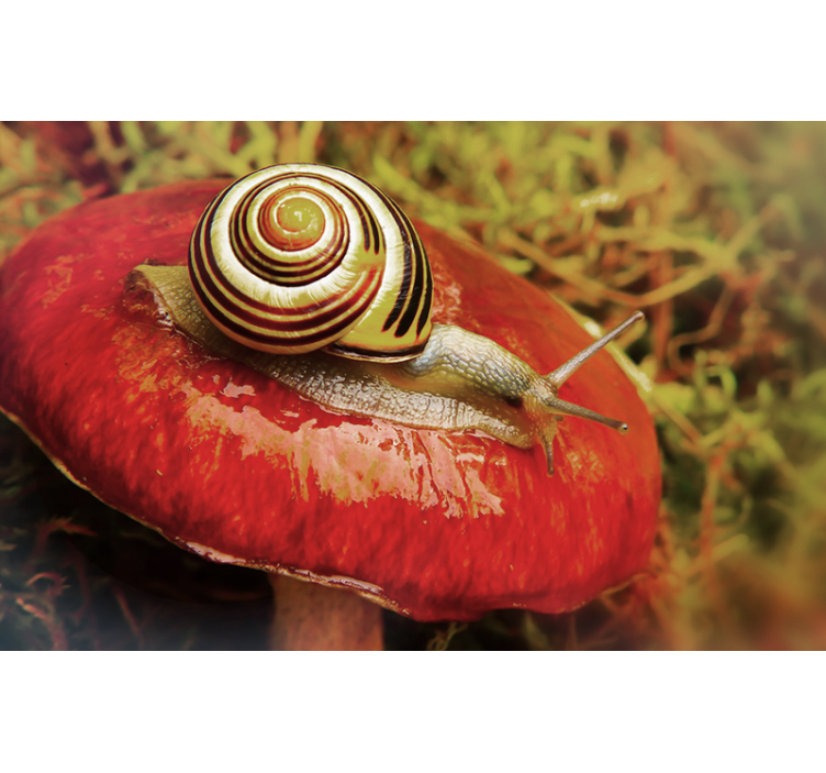 Wall mural snail on mushroom design - TenStickers