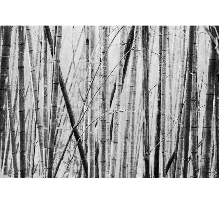 Bamboo wall mural bamboo forest design - TenStickers