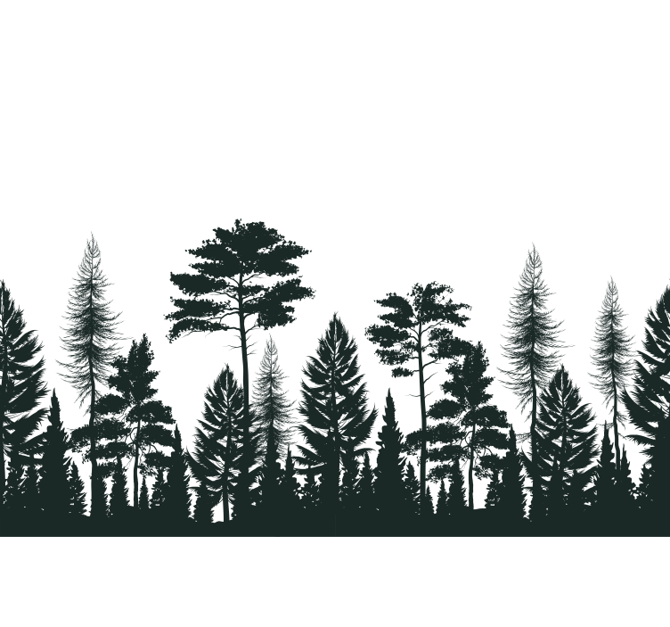 Nature wall mural silhouetted evergreen trees - TenStickers
