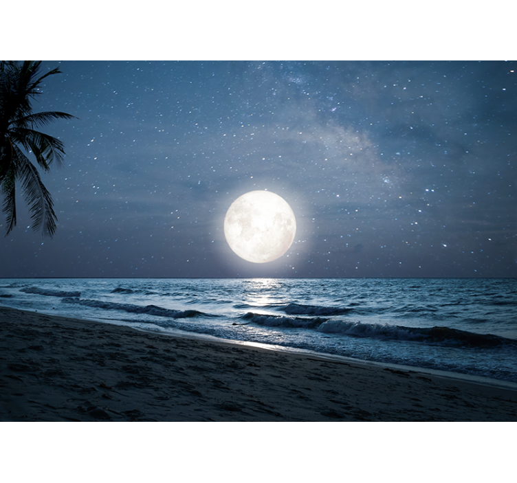 Beautiful ocean full moon Sky Wall Mural - TenStickers