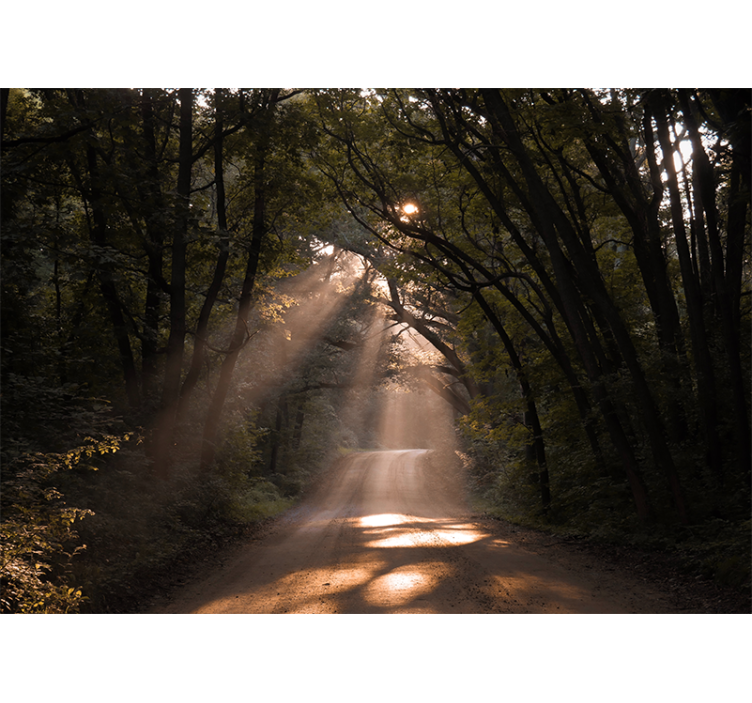 Nature wall mural radiant woodland path - TenStickers