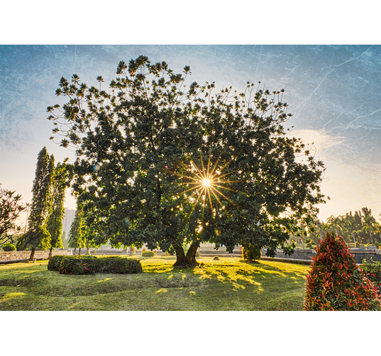 Nature wall mural sunny tree perspective - TenStickers