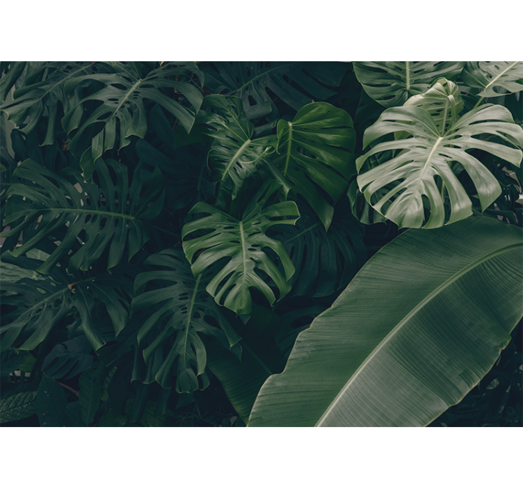 Nature wall mural lively tropical foliage - TenStickers