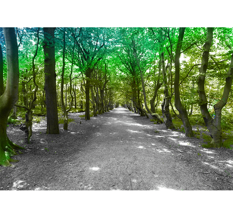 Nature wall mural lush tree path - TenStickers