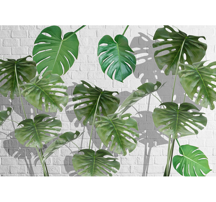 Nature wall mural monstera leaf design - TenStickers