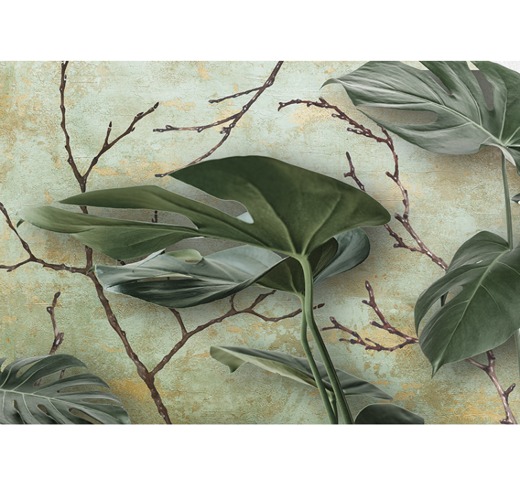 Monstera plants nature wall mural - TenStickers
