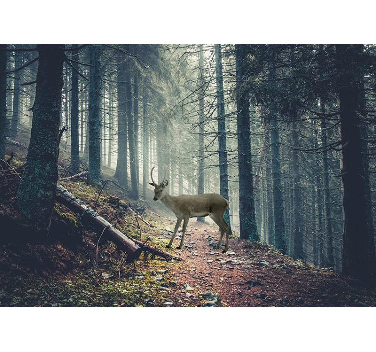 Pathway in the forest with a deer wall mural - TenStickers