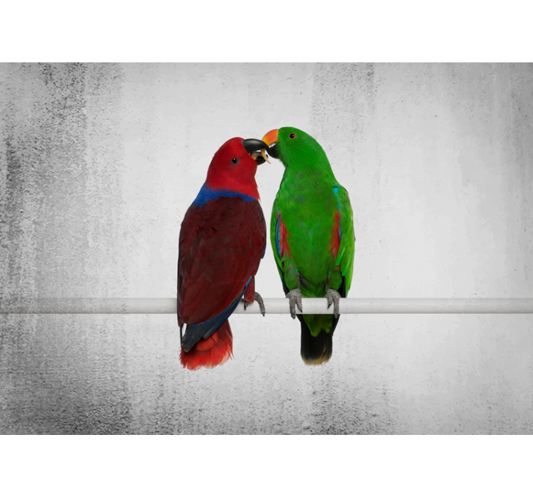 Colorful parrots interaction wall mural - TenStickers