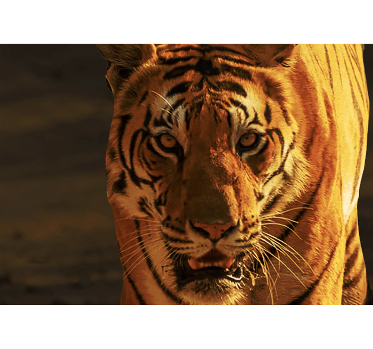 Lion mural noble lion stare - TenStickers