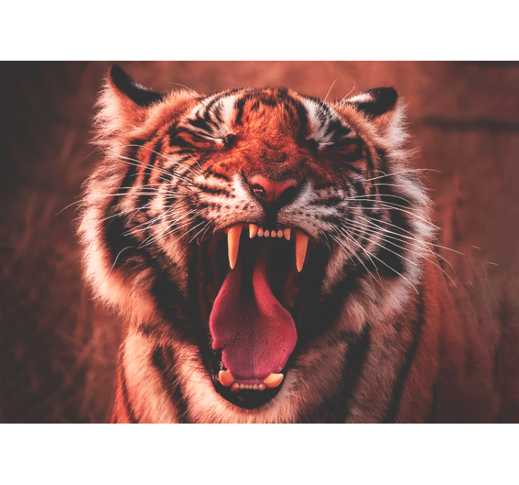 Majestic tiger roar wall mural - TenStickers