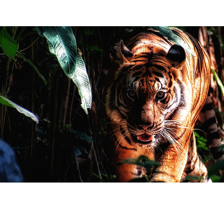 Walking tiger in the jungle wall mural - TenStickers