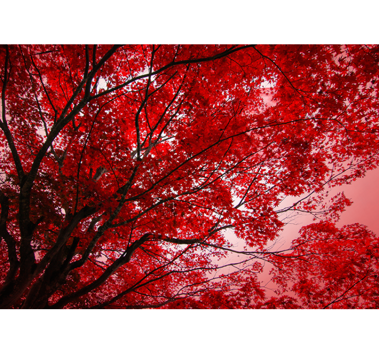 red branches tree mural - TenStickers