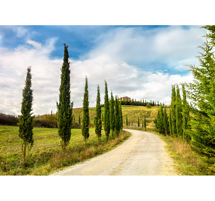 Tuscan Countryside Vista nature wall mural - TenStickers