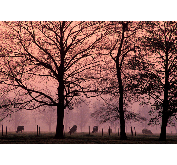 Misty Treescape landscape mural wallpaper - TenStickers