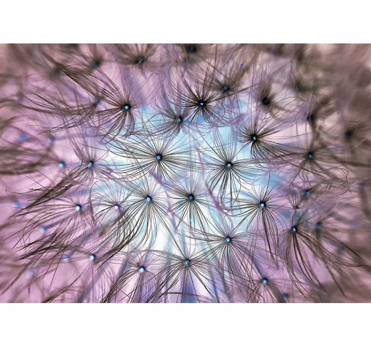 Dandelion Delusion fantasy wall mural - TenStickers