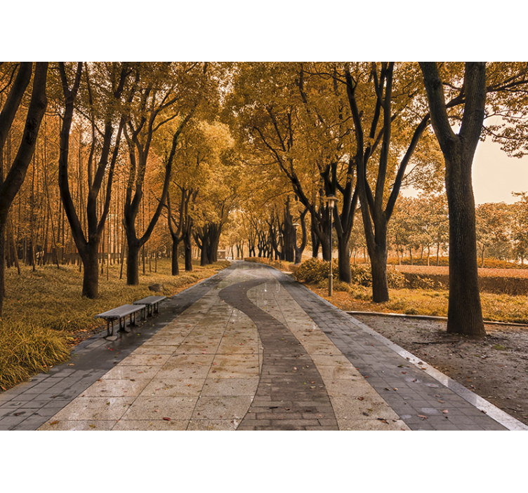 Road in autumn landscape wall mural - TenStickers