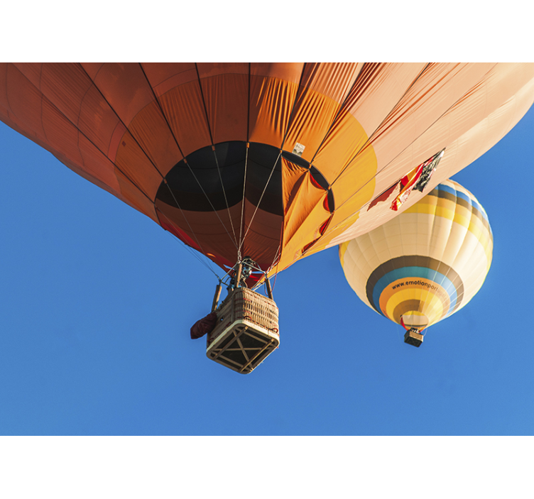 Ponte Sor Ballonns Sky Wall Mural - TenStickers
