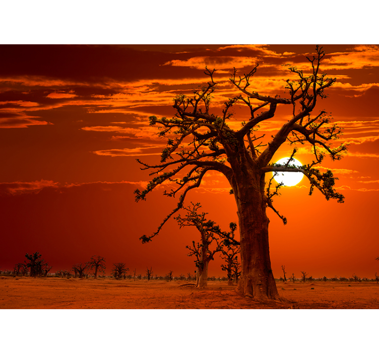 Majestic Sunset Trees nature wall mural - TenStickers