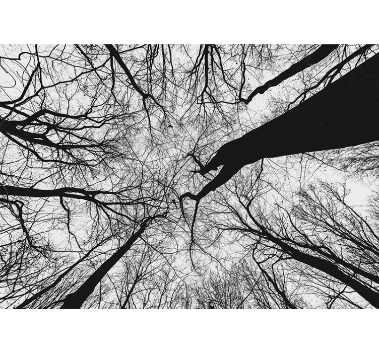 Tree mural intertwined branch silhouettes - TenStickers