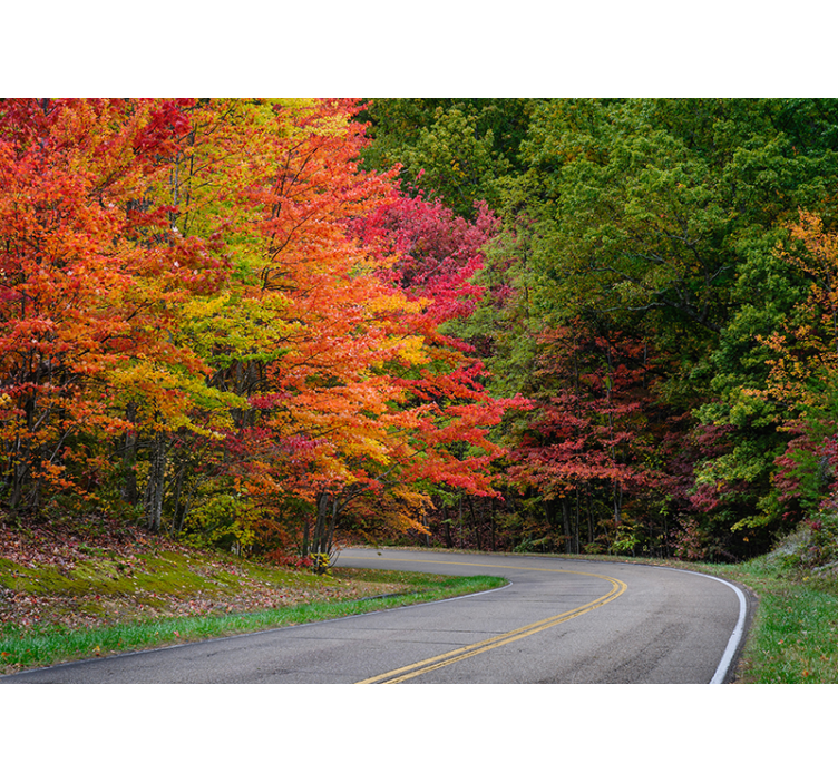 Road with red trees tree mural - TenStickers