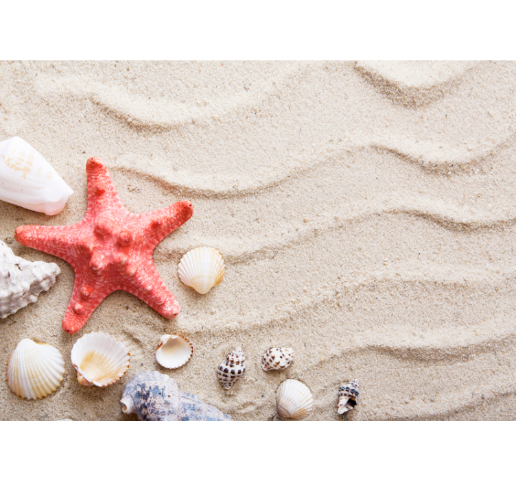 Starfish and Shells sea mural - TenStickers