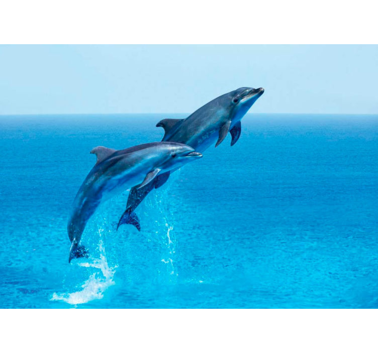 Animal wall mural dolphins leaping joyfully - TenStickers