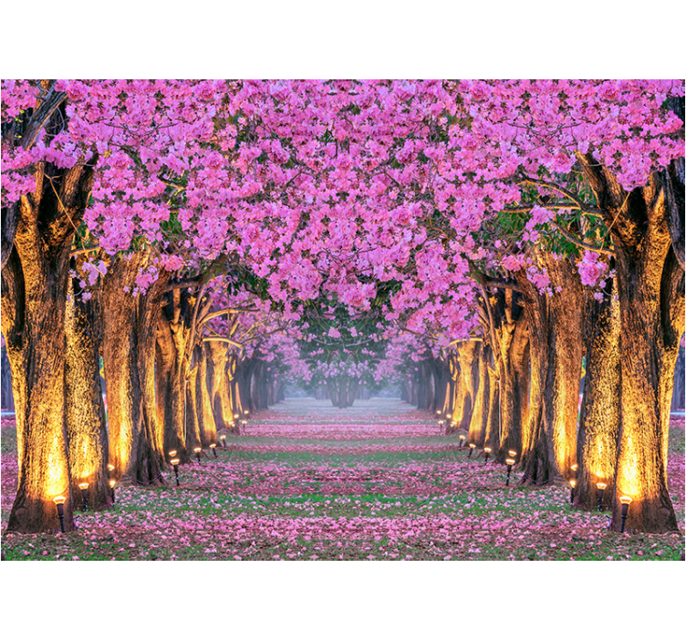 Blossoming pink path wall mural - TenStickers