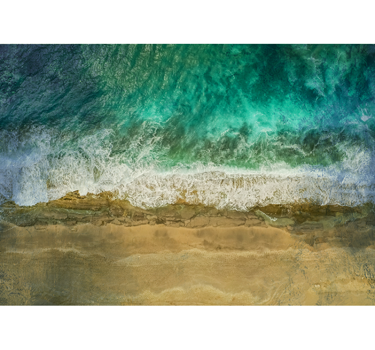 Coastal Plant Arrangement nature wall mural - TenStickers