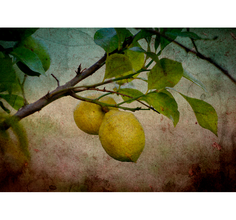 Nature wall mural lemon branch detail - TenStickers