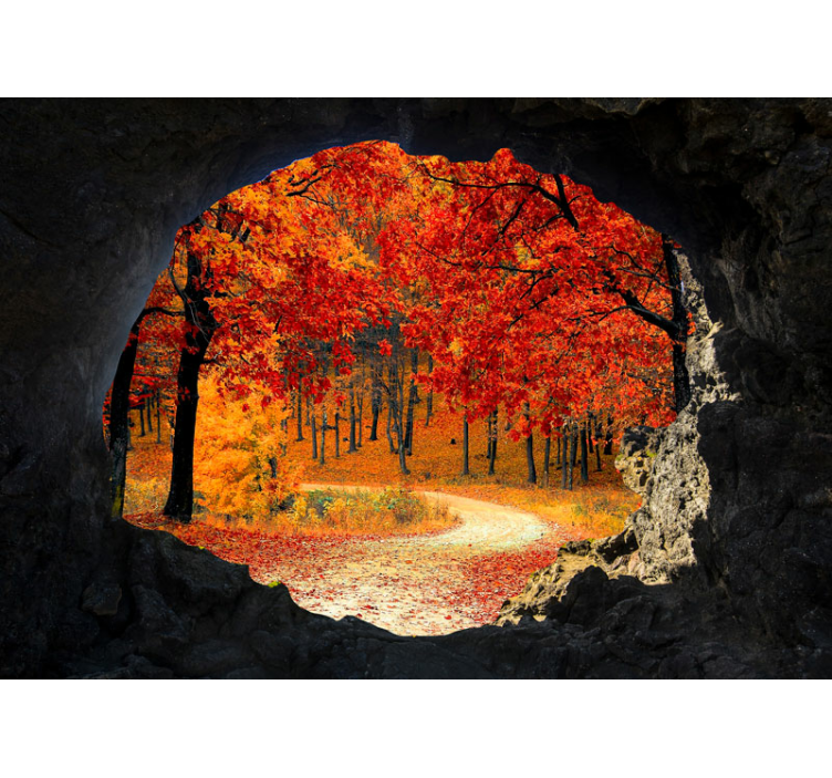 Forest wall mural autumn trail viewpoint - TenStickers