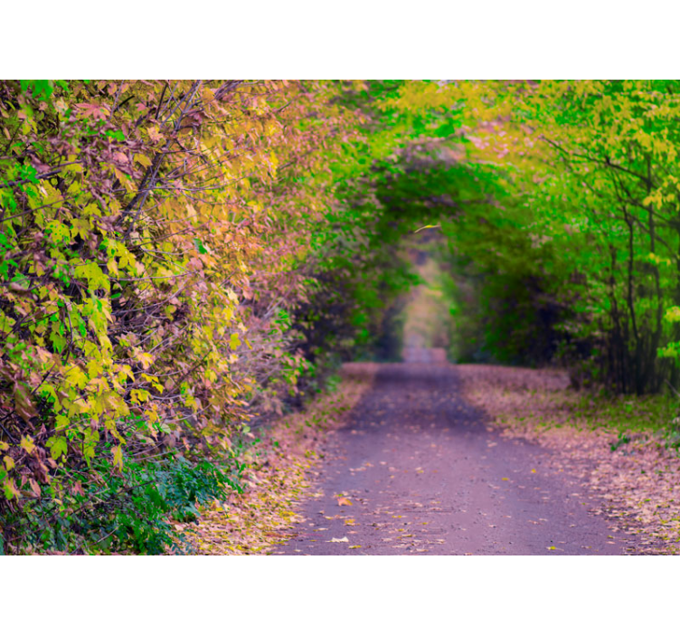 Nature wall mural lively green pathway - TenStickers