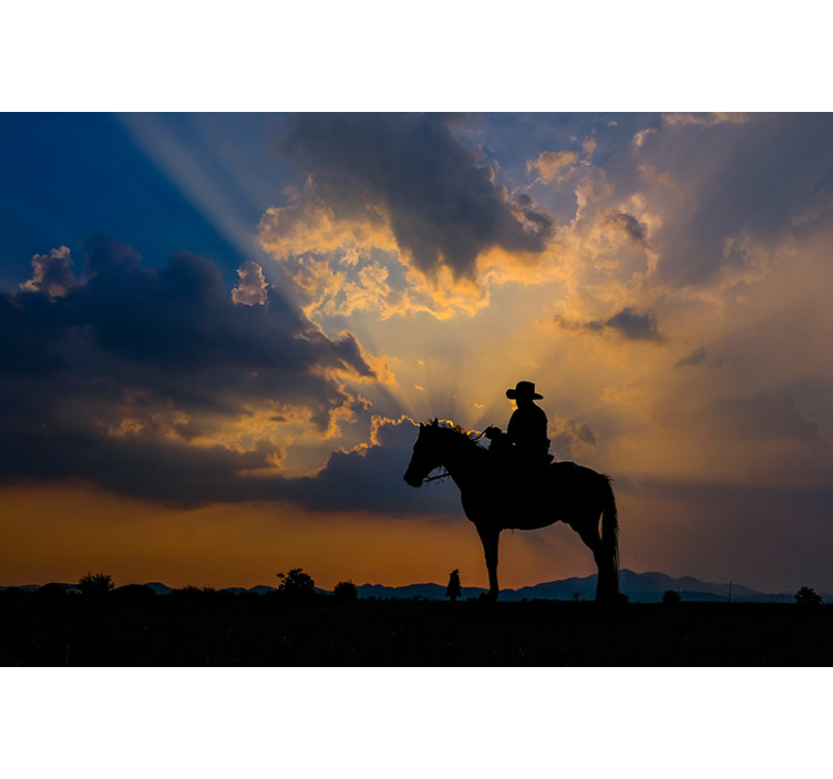 Animal wall mural rider on horse - TenStickers