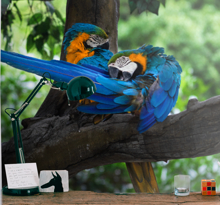 Animal wall mural colorful macaw pair - TenStickers