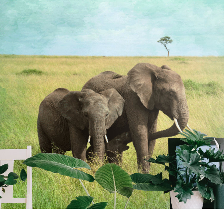 Animal wall mural elephants in grassland - TenStickers