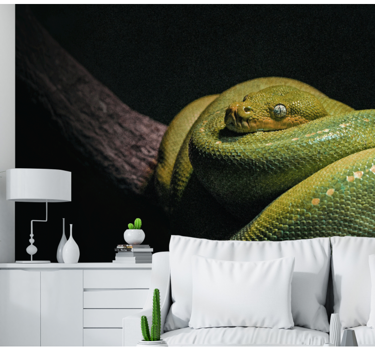 Animal wall mural emerald green python - TenStickers