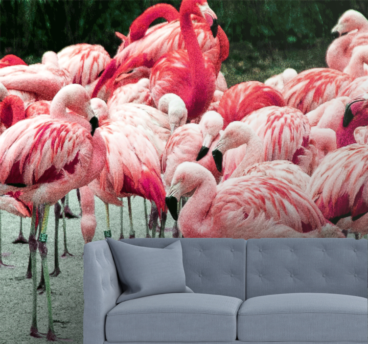 Animal wall mural flamingo flock - TenStickers