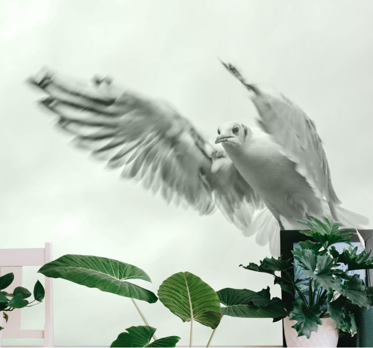 Animal wall mural flying white bird - TenStickers